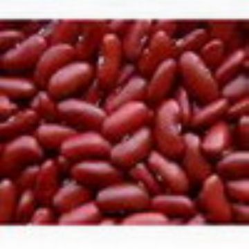 Red Kidney Beans